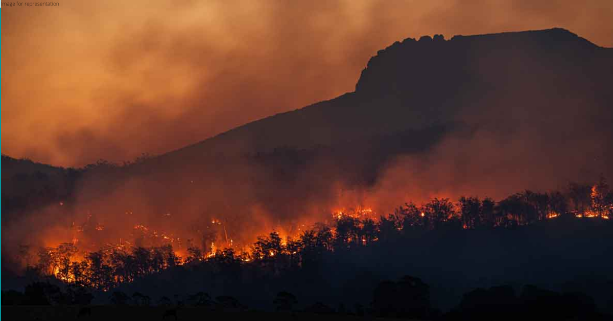 Fire breaks out in forests of Uttarakhand's Pithoragarh, Tehri Garhwal